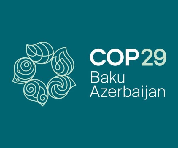 E-Services For COP 29 Participants