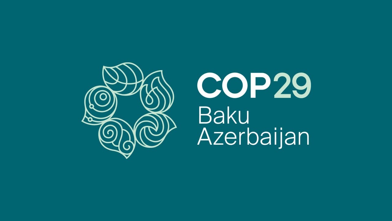 E-Services For COP 29 Participants